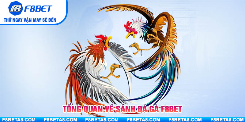 Tổng quan về sảnh Đá gà F8BET